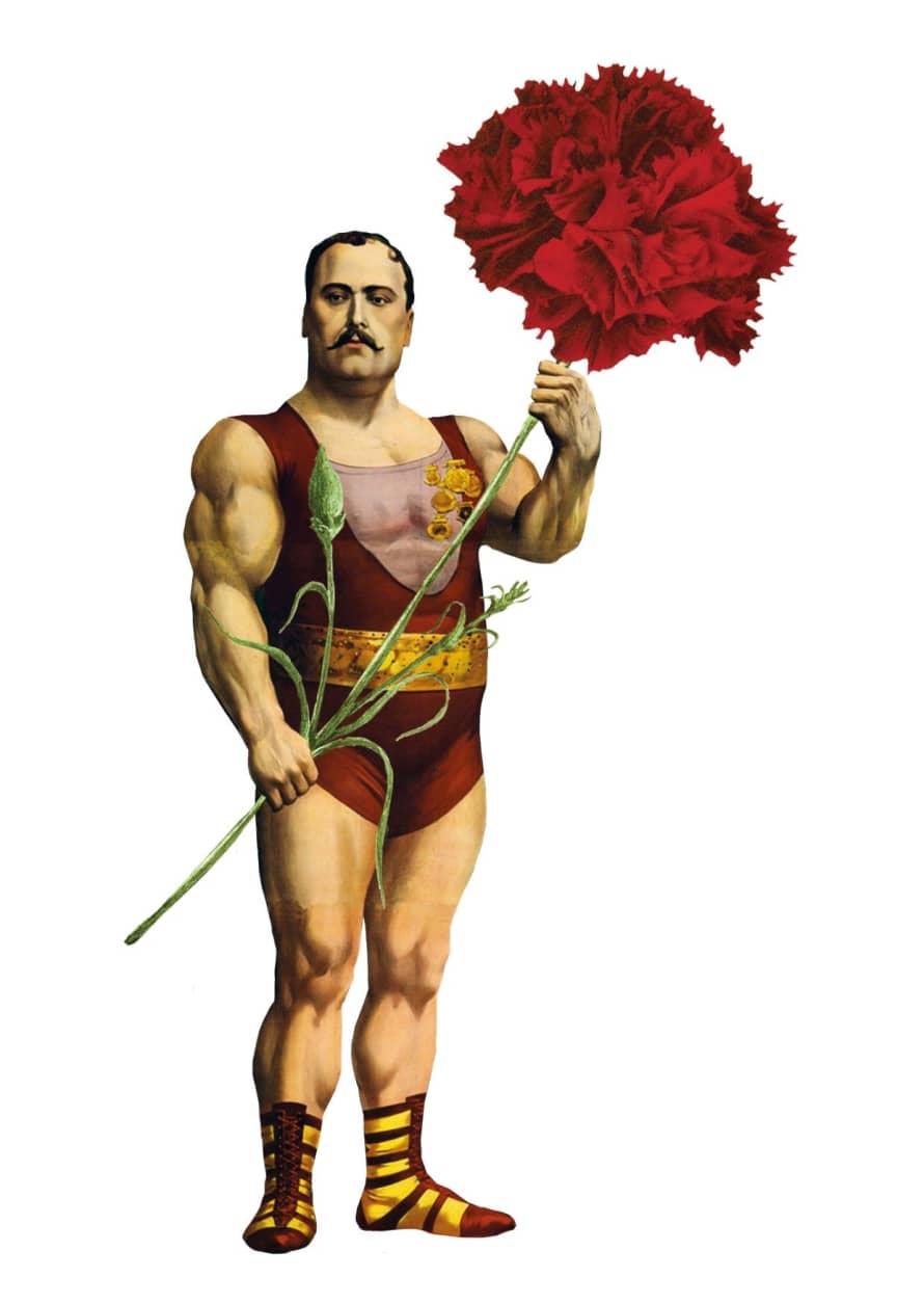 Lylies Poster Strong Man With Carnation