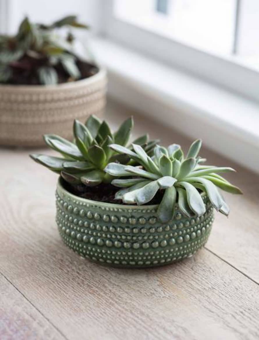 The Forest & Co. Green Textured Bowl