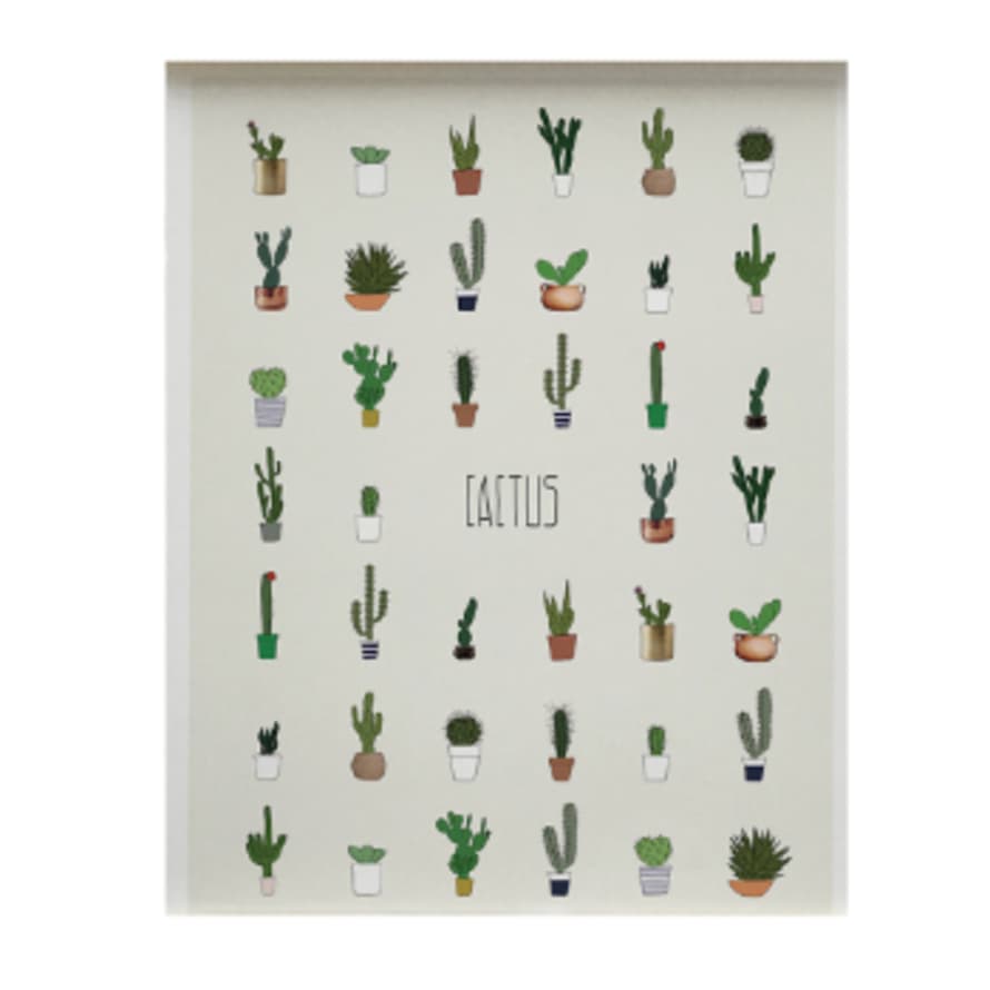 Memory Affiche 30x40cm Cactus Poster