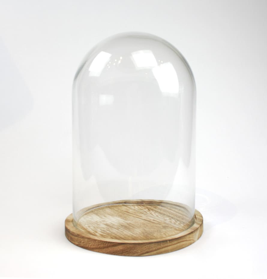 Joca Home Concept 20cm Glass Dome with Wooden Base 
