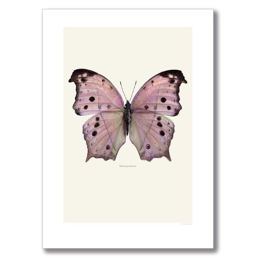 Liljebergs 50 x 70cm Pink Forest Mother-of Pearl Butterfly Print