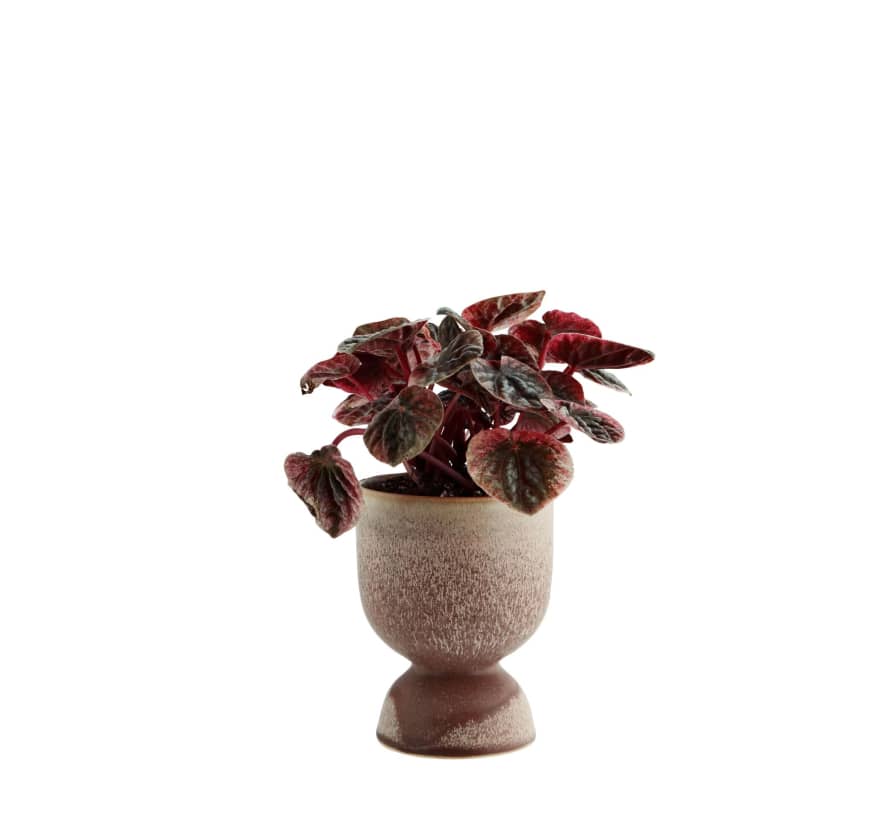 Madam Stoltz Shaped Ceramic Plant Pot
