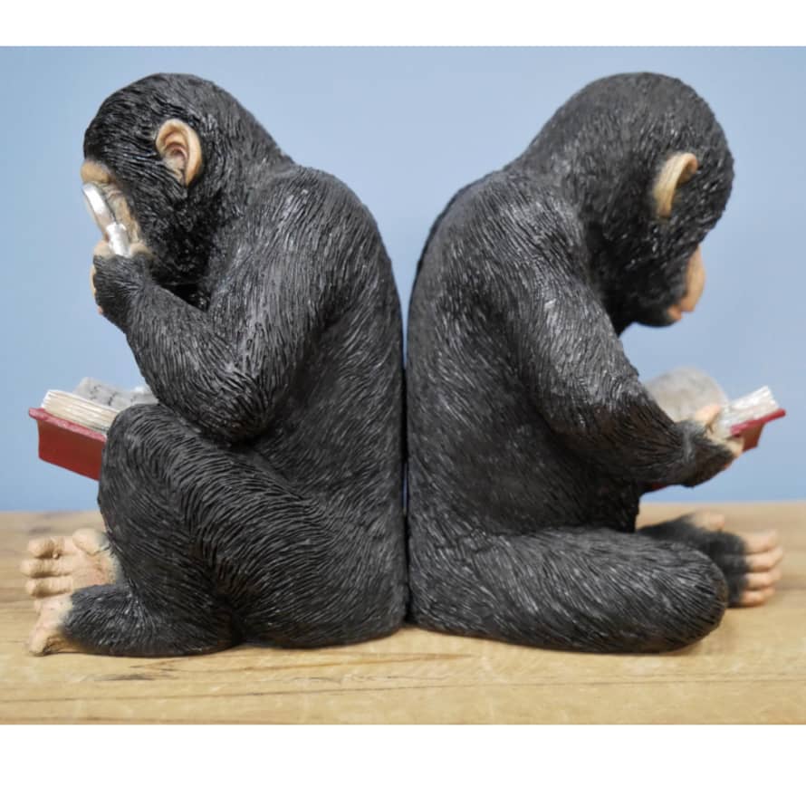 &Quirky Intelligent Monkey Bookends