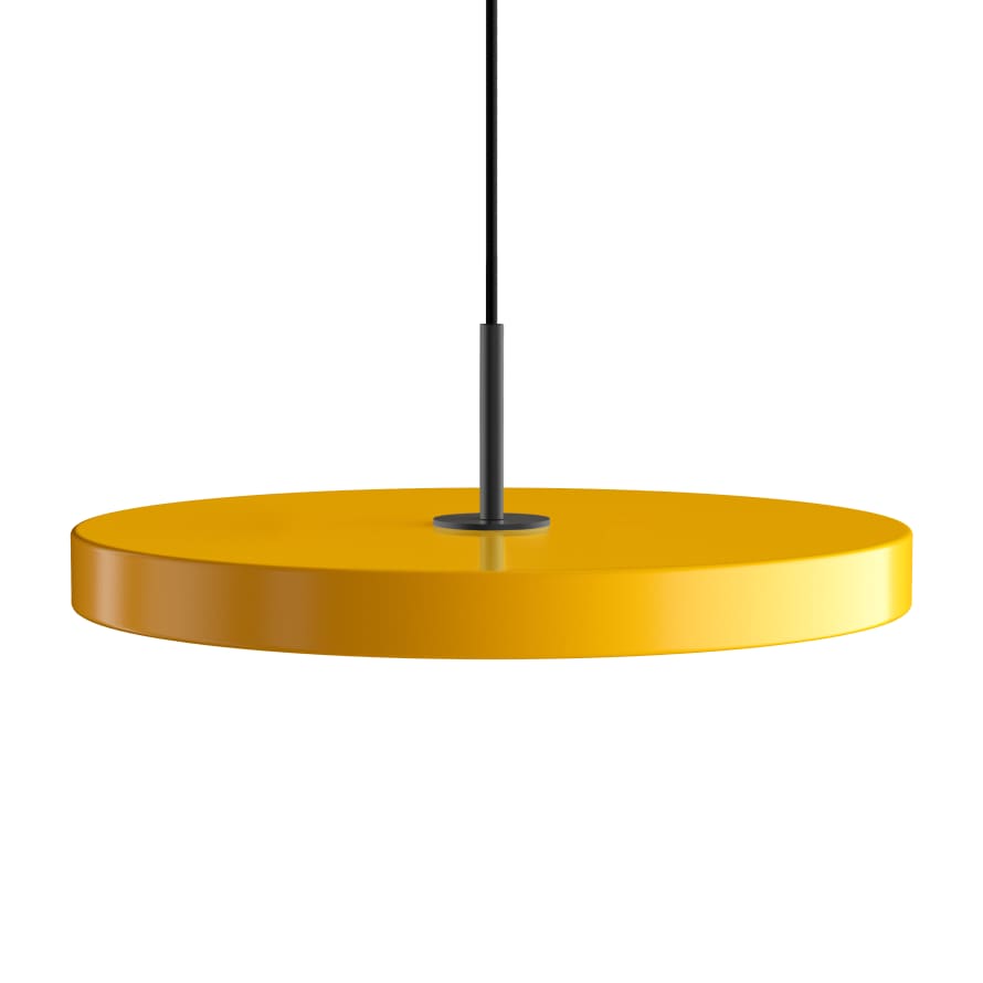 UMAGE Saffron Asteria Pendant Light with Black Detail