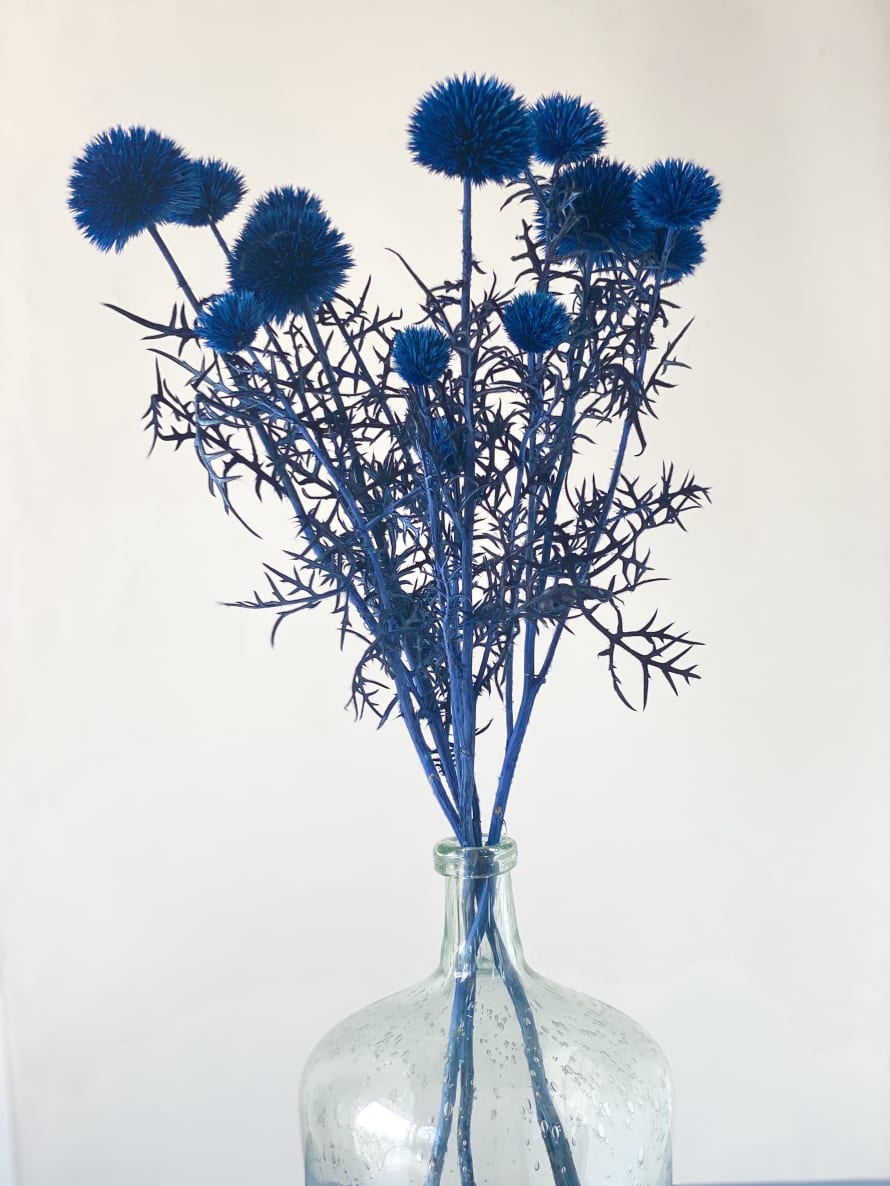 Pompon Bazar Blue Thistles with Long Stems