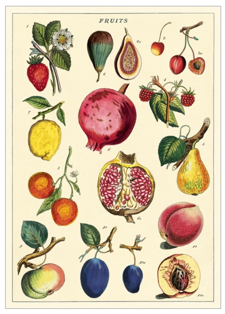 Cavallini & Co Fruits 2 - Cavallini Vintage Poster | 51 x 71cm