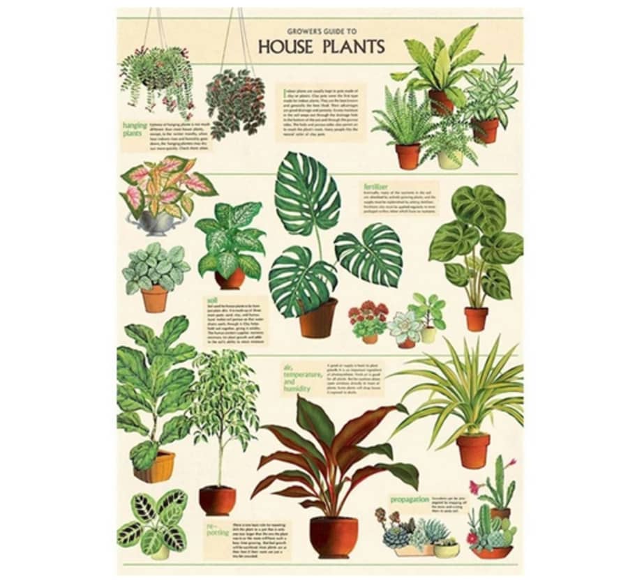 Cavallini & Co House Plants - Vintage Poster | 51 x 71cm