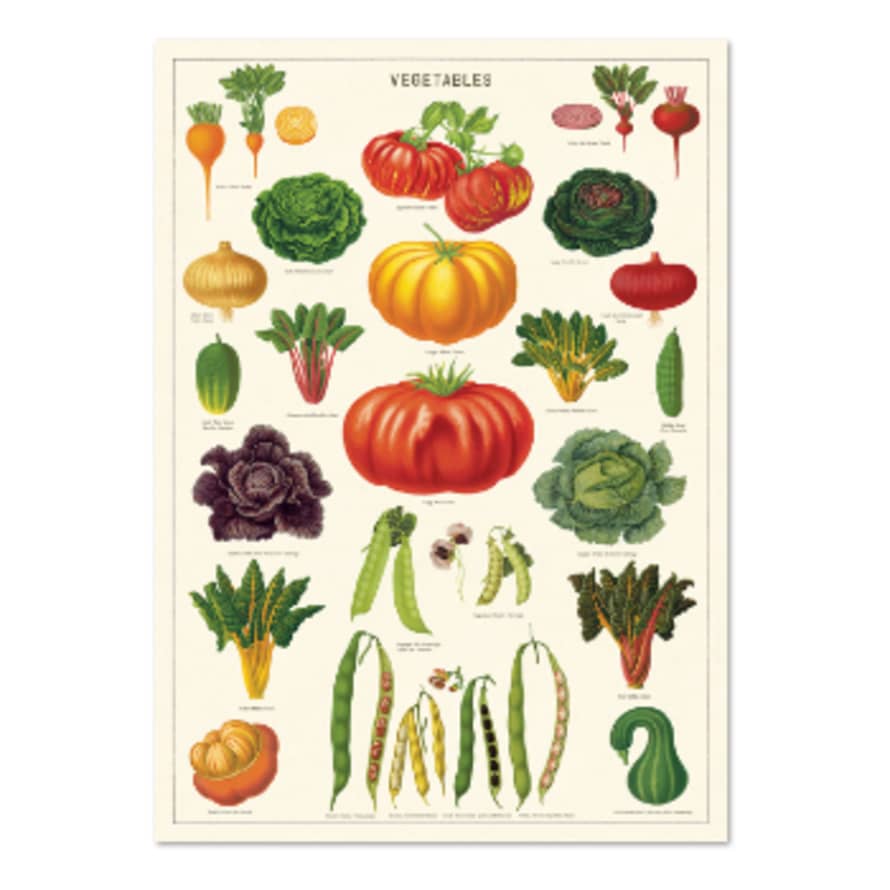 Cavallini & Co Vegetable - Vintage Poster | 51 x 71cm