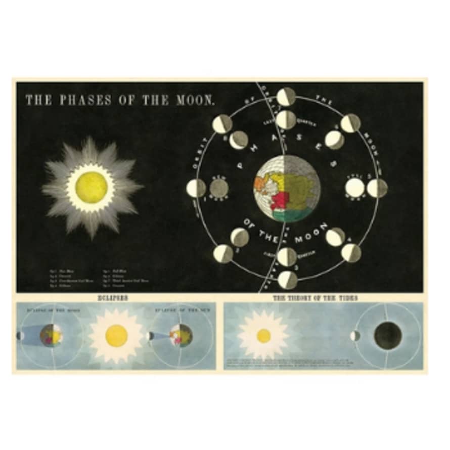 Cavallini & Co Phases of the Moon - Vintage Poster | 51 x 71cm