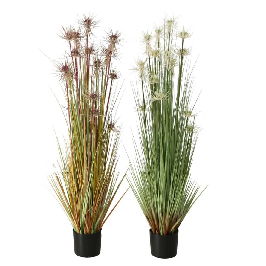 &Quirky Faux Potted Grasses : Brown or Green