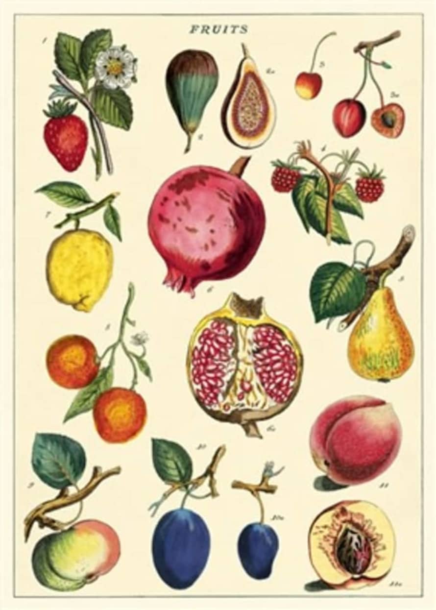 Cavallini & Co Fruit II Poster