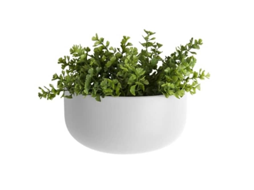 Present Time White Ceramic Wide Oval Wall Planter