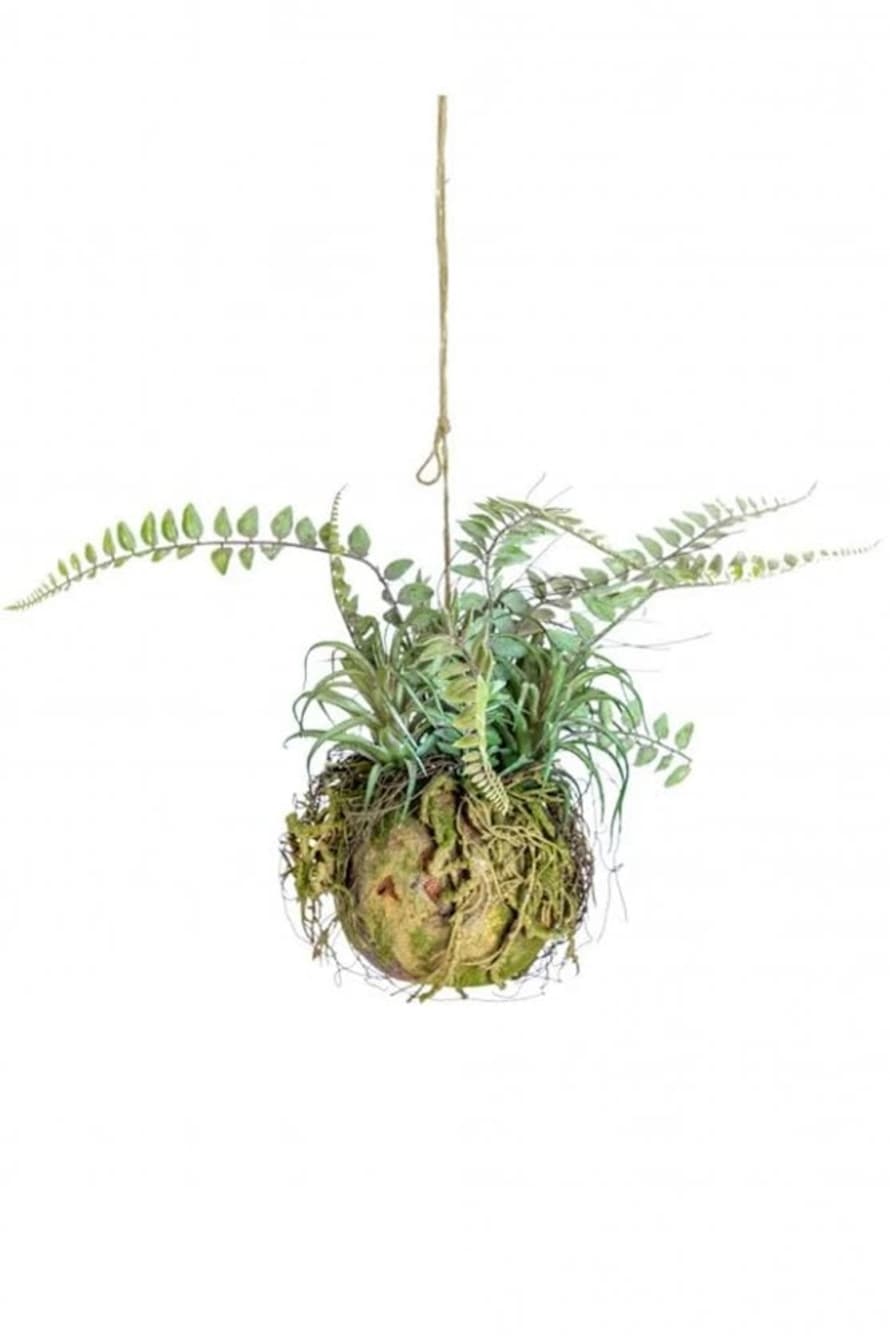 The Home Collection Ornamental Hanging Moss Ball With Ferns