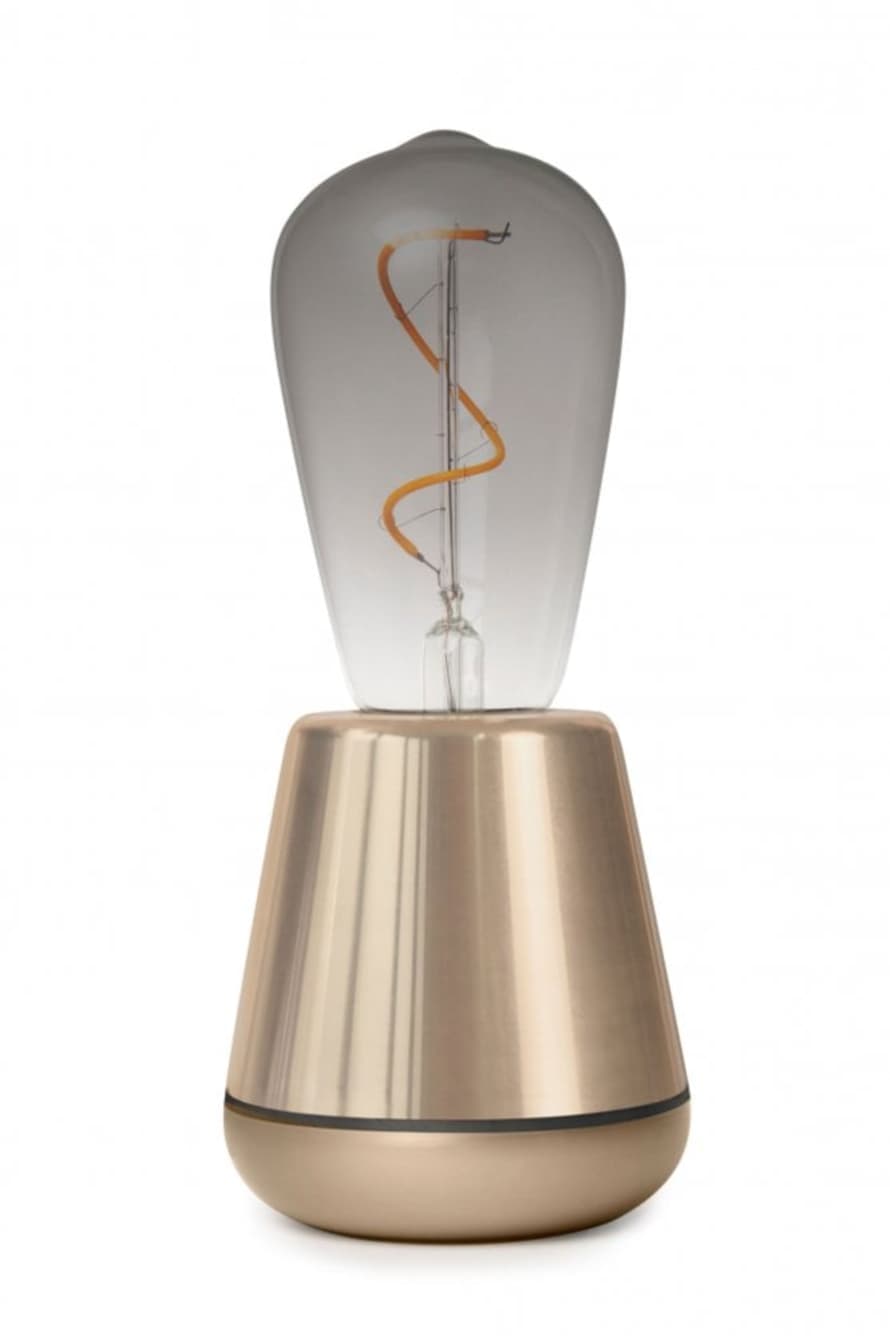 The Home Collection Humble One Table Light In Shiny Gold