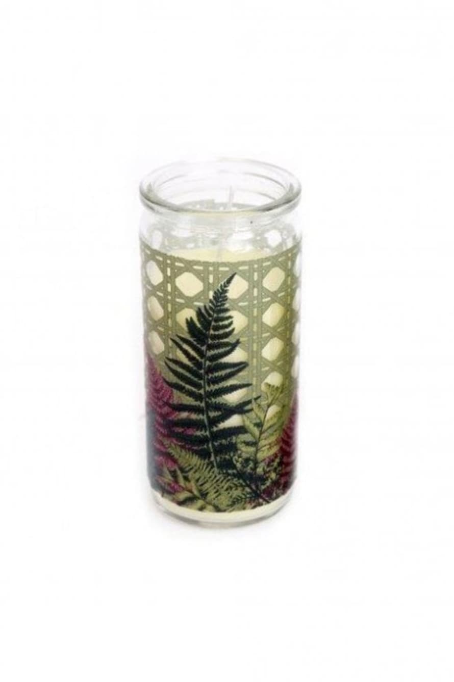 The Home Collection Scented Candle In Glass Fern Bamboo Jar