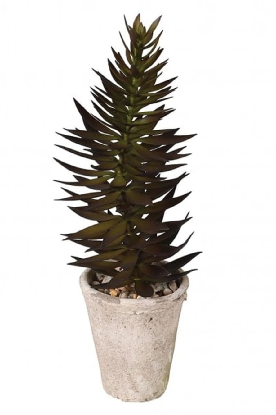 The Home Collection Green Potted Pagoda Succulent