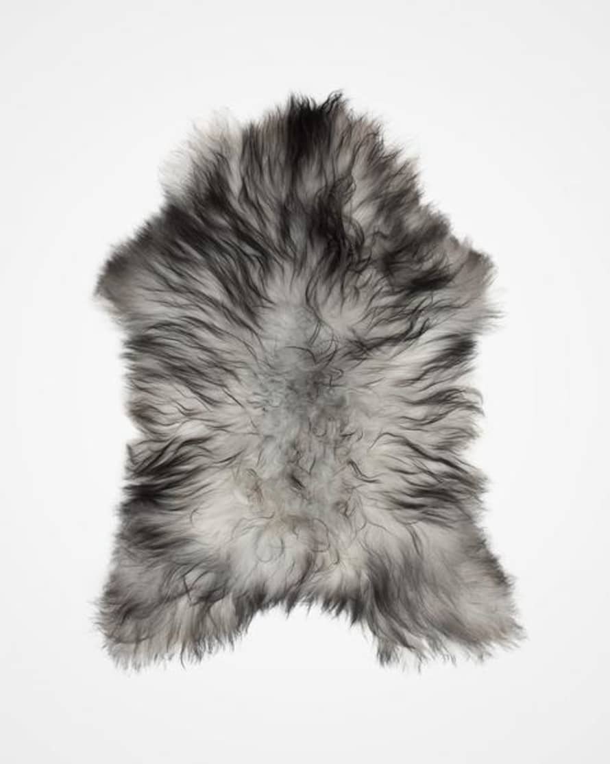 Icelandic Sheepskin Sheepskin Longhaired In Natural Grey W Black Tips