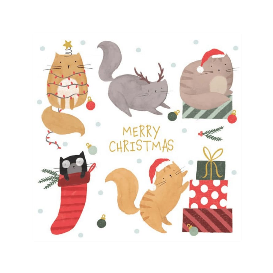 &Quirky Merry Christmas Cats Card Pack of 6