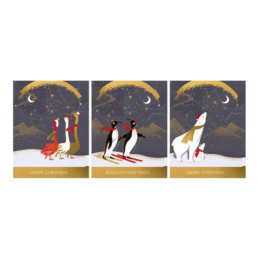 &Quirky Geese, Penguins & Polar Bear Christmas Card Set : Pack of 12