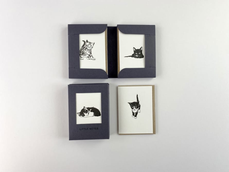 Penguin Ink Pussycat Little Notes Card Set - Boxed