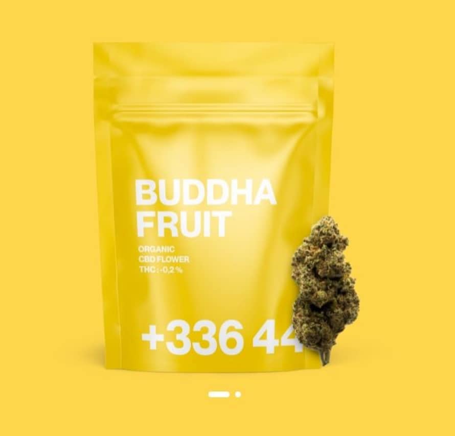 Tealer Lab Buddha Fruit CBD