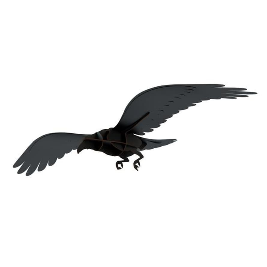 Ibride Ravens Adam