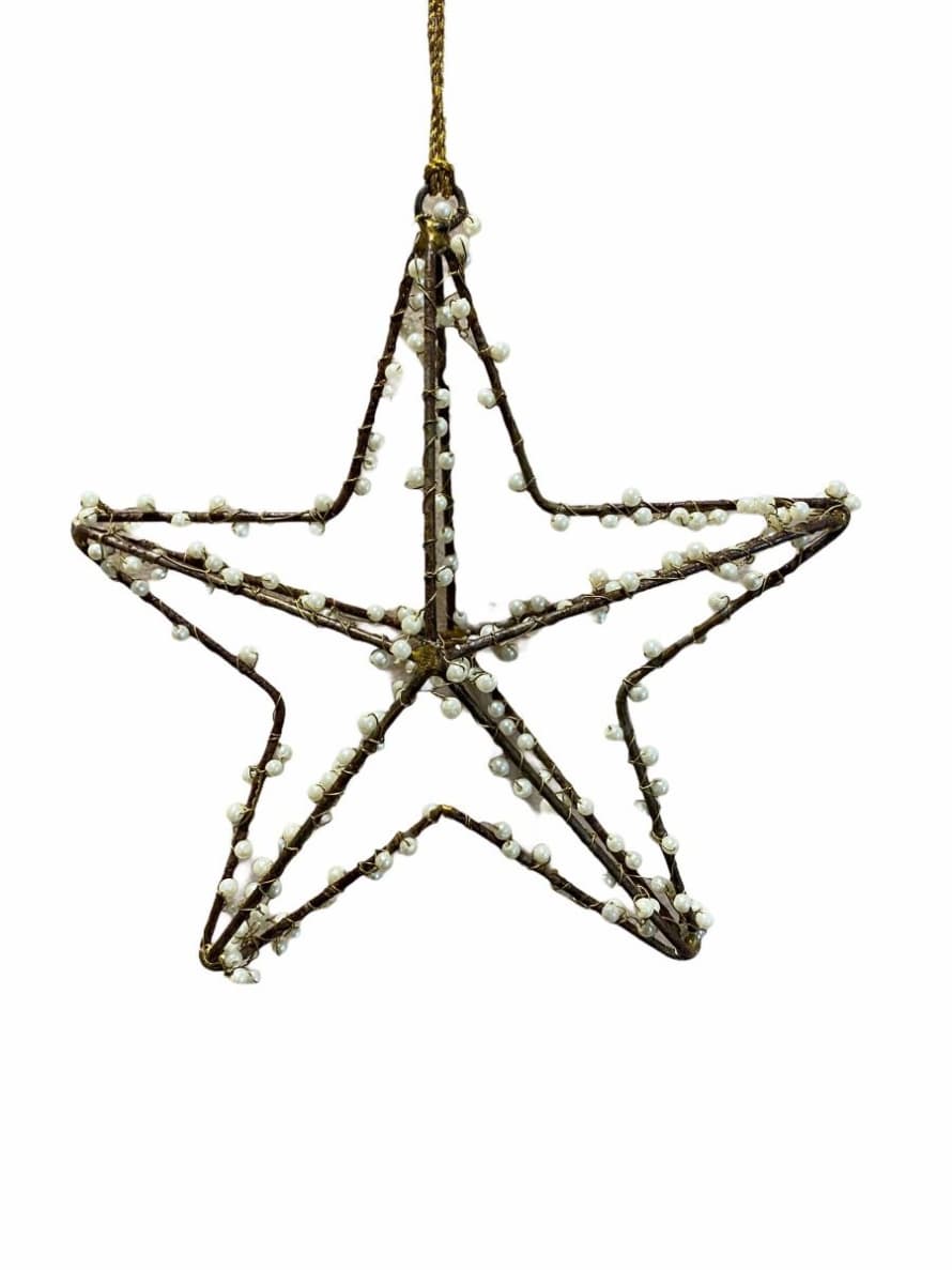 De Weldaad Star with Pearls - L