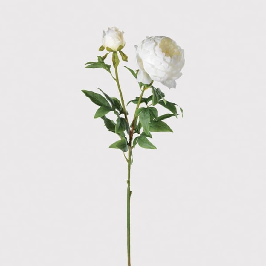 Grace and Grey Large White Full Bloom Peony with Bud