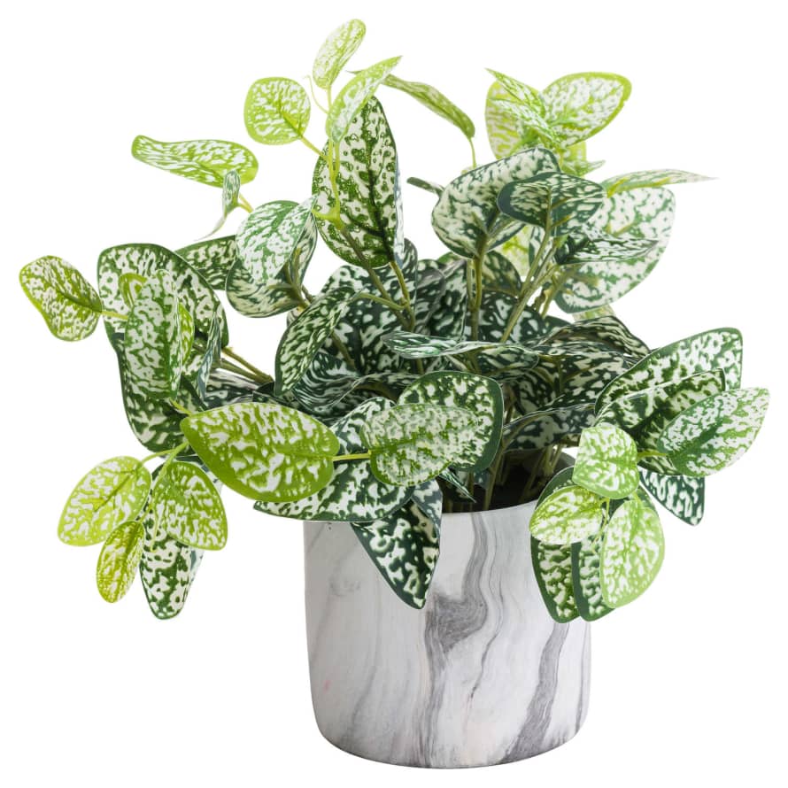 Victoria & Co. Potted Green and White Nerve Faux Plant