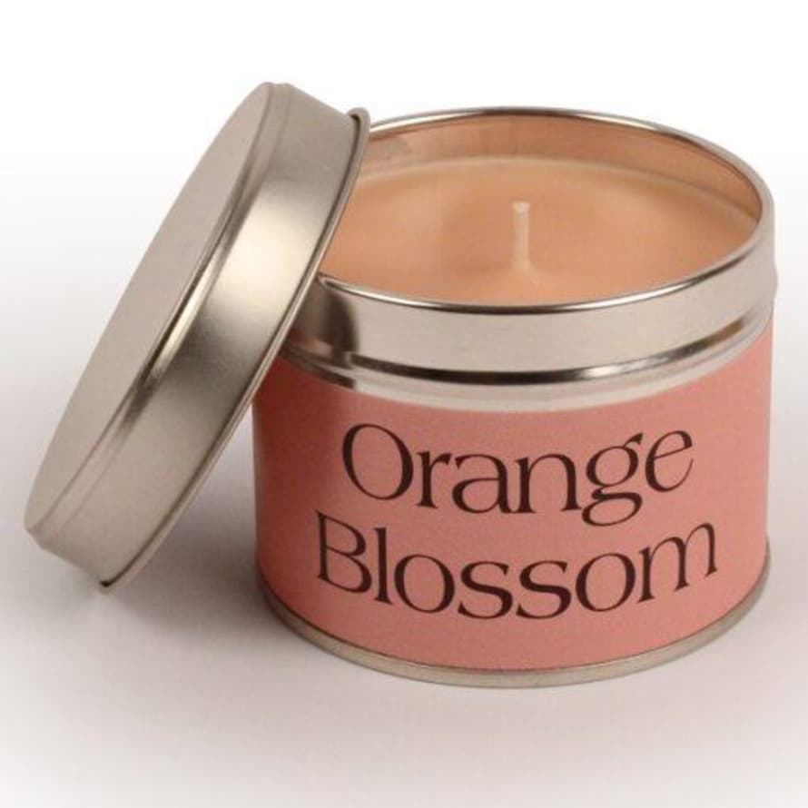 Pintail Candles Single Wick Orange Blossom Candle
