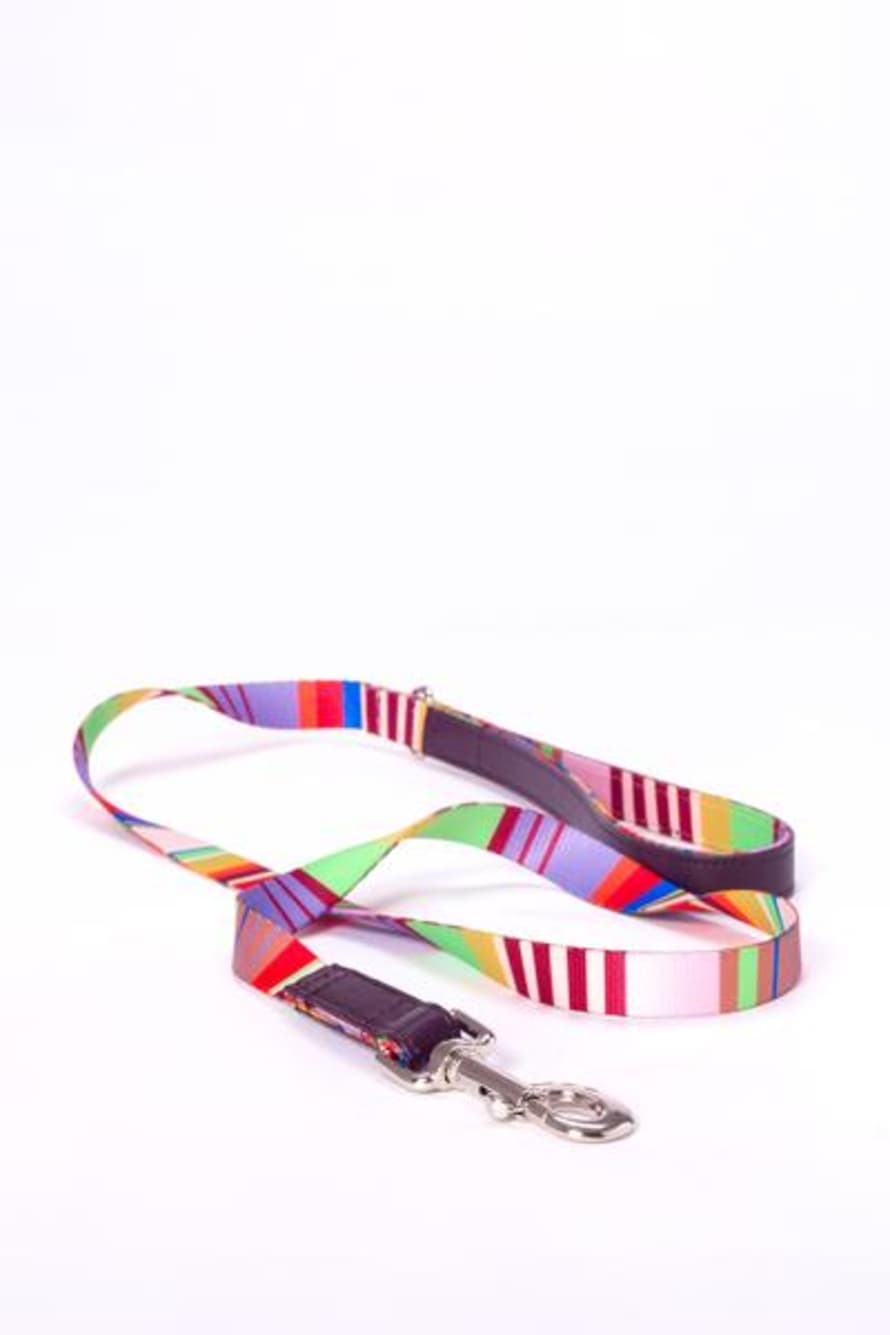 Ware of the Dog Leash Striped Webbing