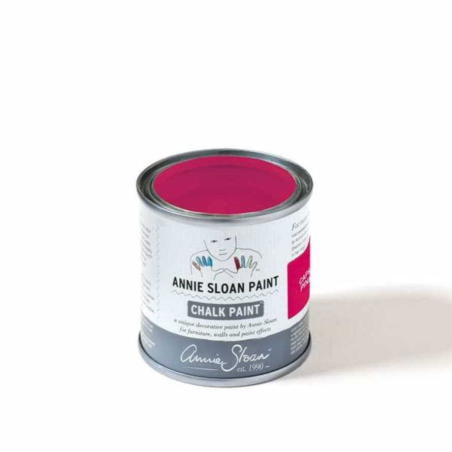 Annie Sloan Capri Pink Chalk Paint 120 Ml Project Pot
