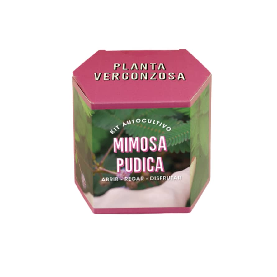 Resetea Kit Autocultivo - Mimosa Púdica
