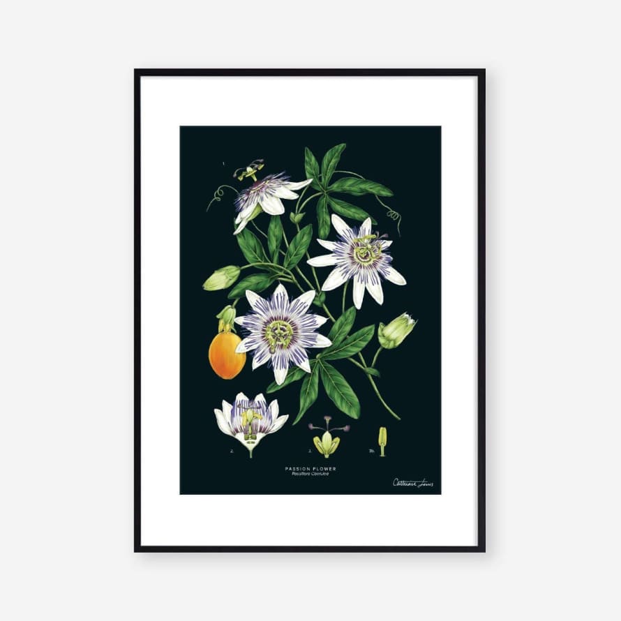 Catherine Lewis Passion Flower Black Art Print - A4