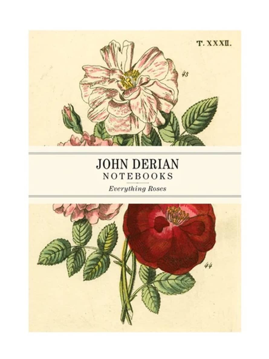 JOHN DERIAN Everything Roses Notebook Set