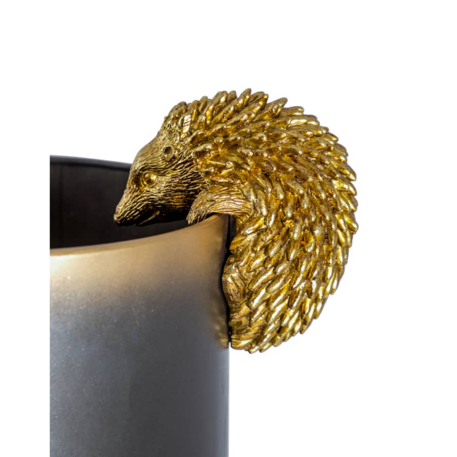 &Quirky Antique Gold Hedgehog Plant Pot Hanger