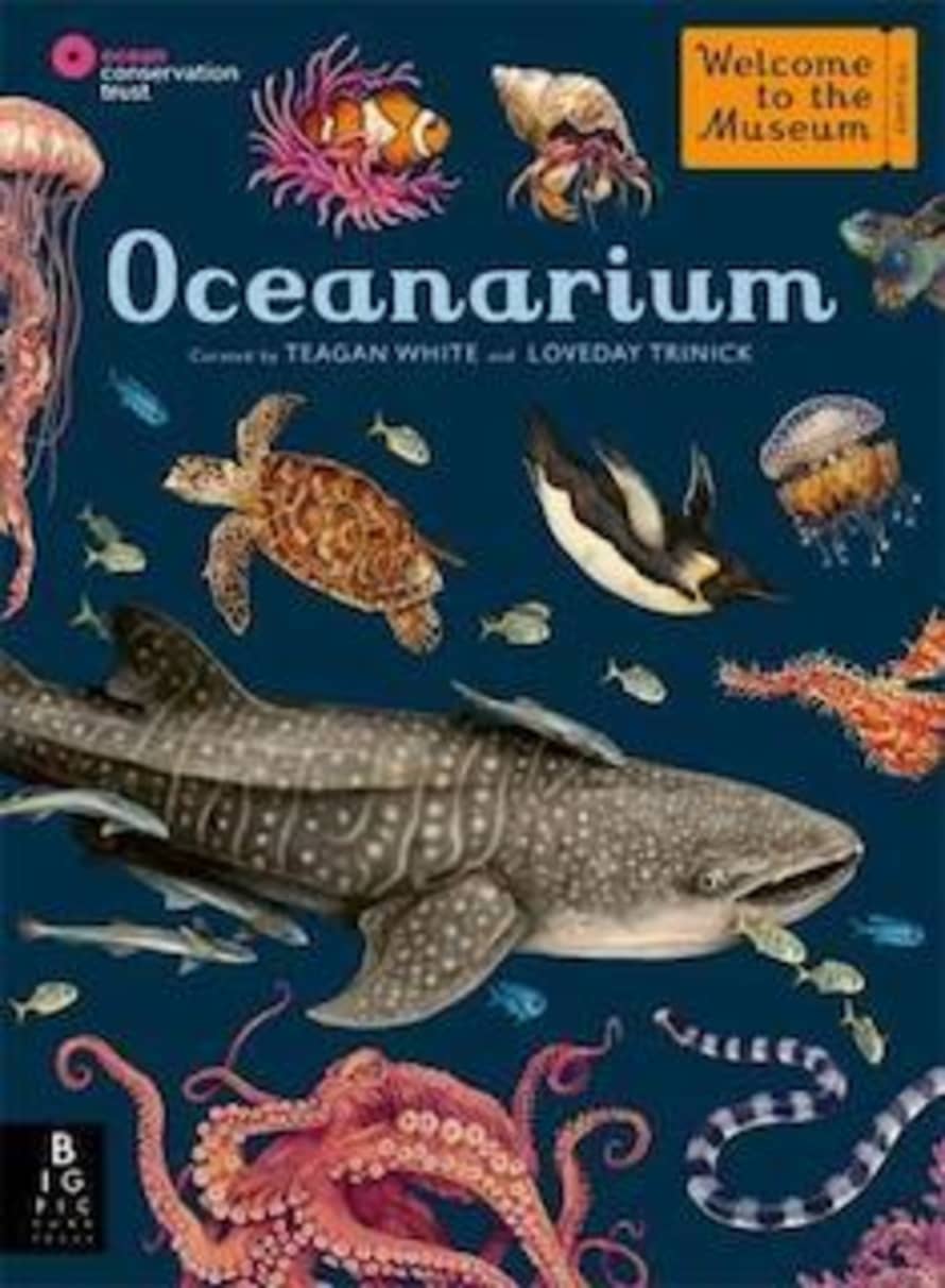 Templar Publishing Oceanarium Book