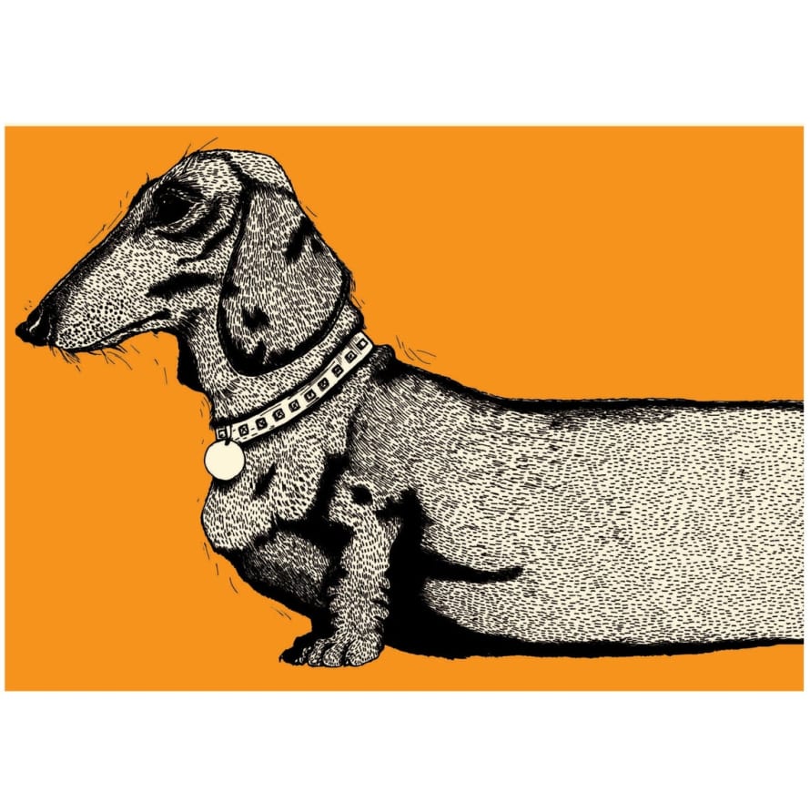 Charley Rabbit Publishing Tangerine Orange Sausage Dog Head and Tail A3 Art Print Set