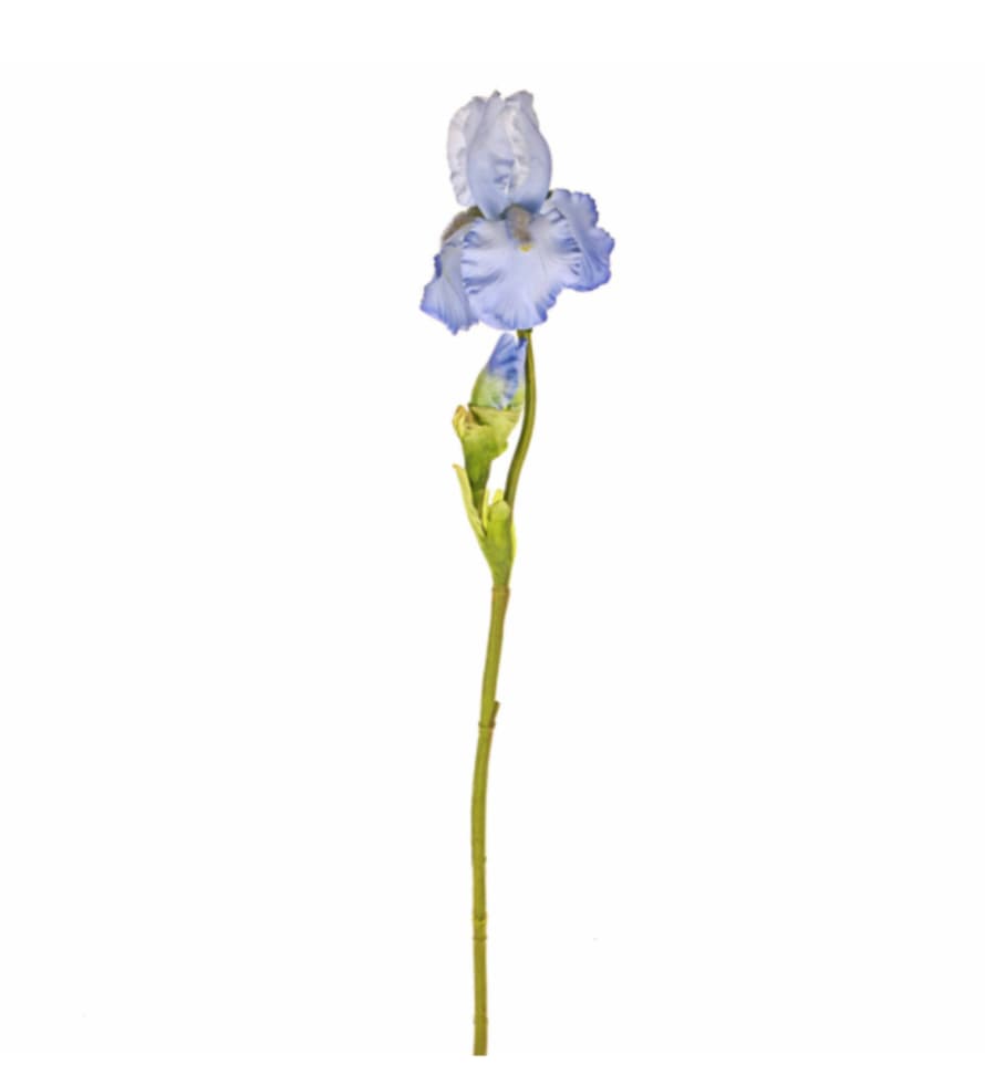 Victoria & Co. Faux Blue Iris
