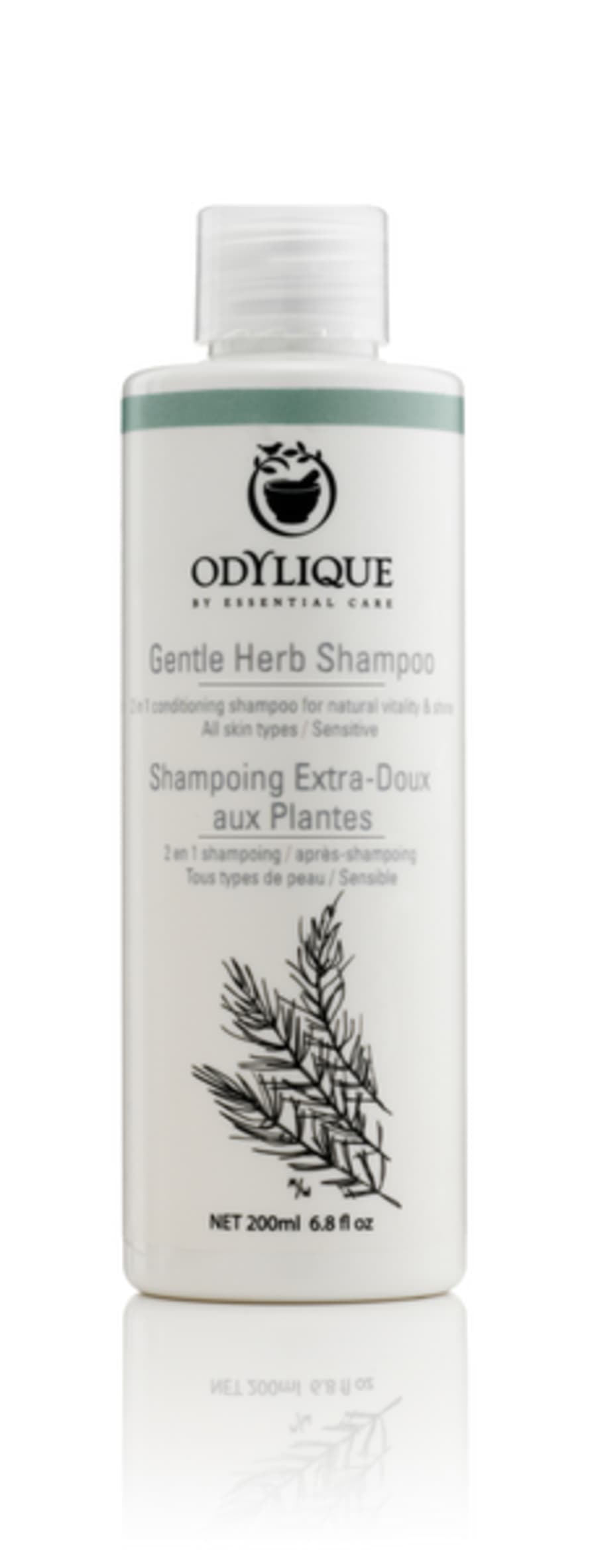 Odylique Organic Shampoo