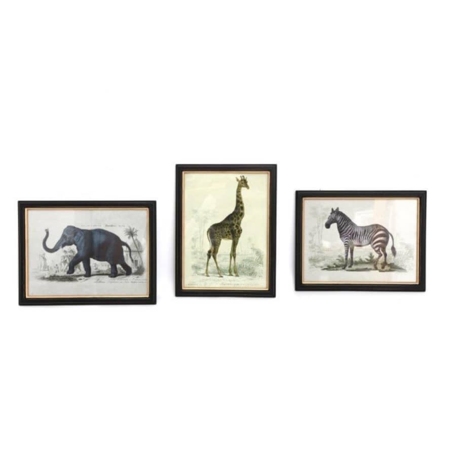 Temerity Jones Safari Vintage Framed Print : Elephant, Giraffe or Zebra