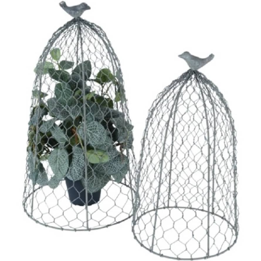 Grand Illusions Set Of 2 Cloches