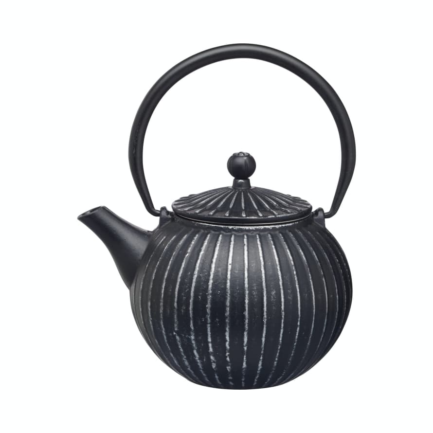 Le'Xpress Cast Iron 500ml Infuser Teapot