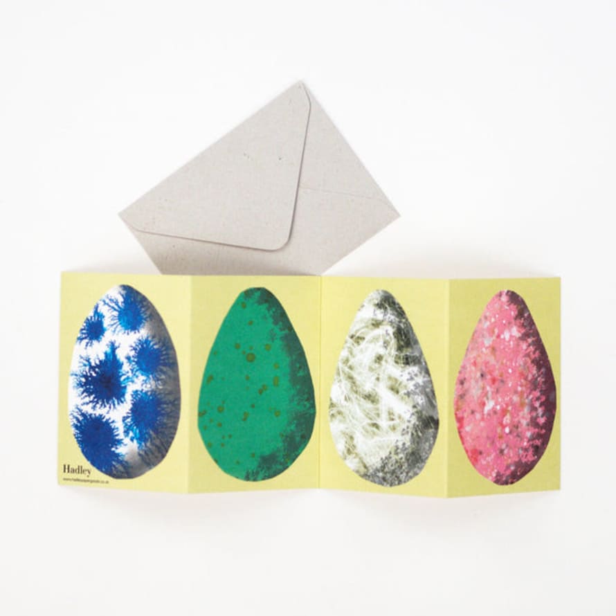 Hadley Paper Goods Concertina 'Easter Egg' Card