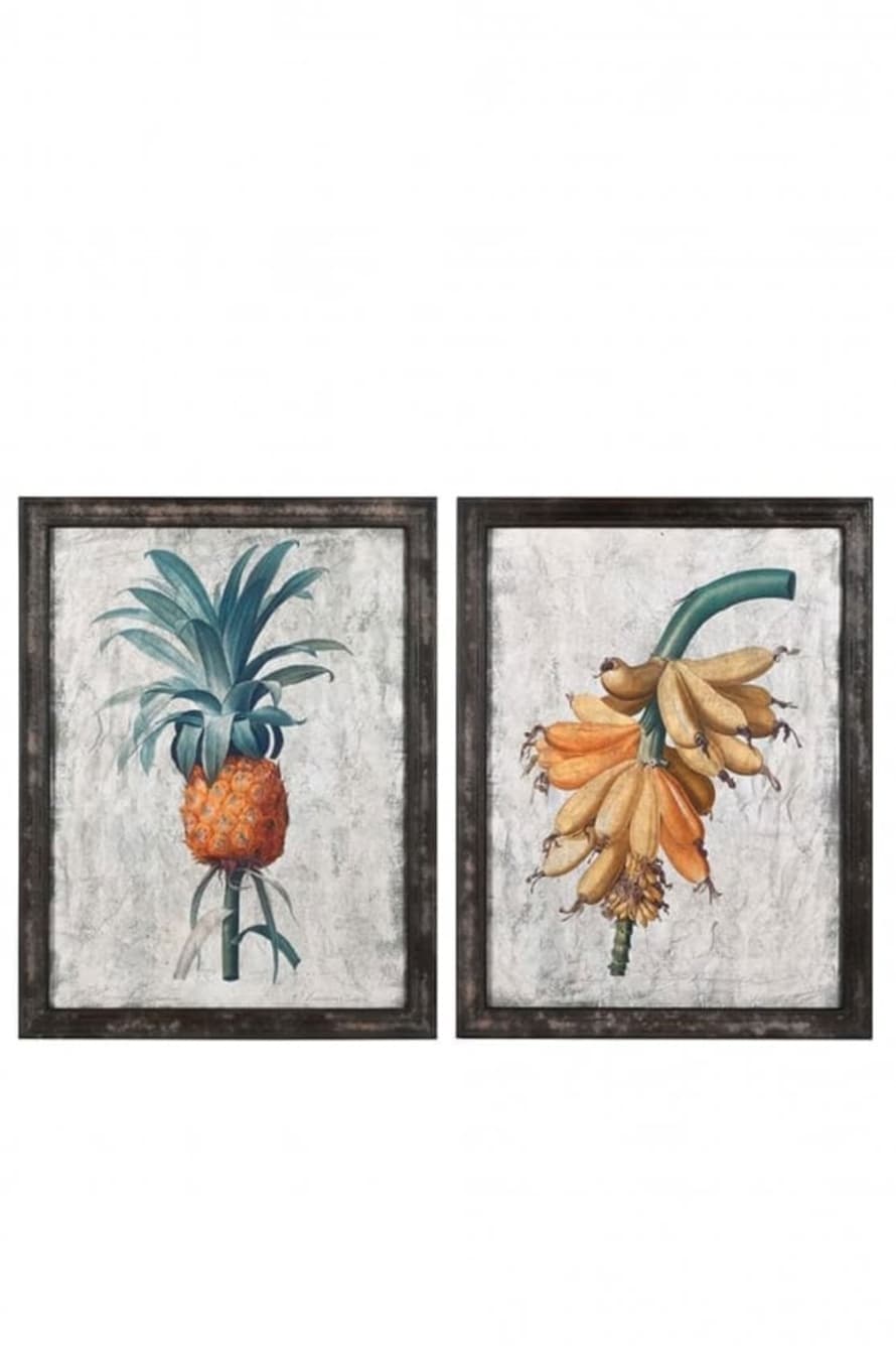 The Home Collection Set Of 2 Botanical Pictures