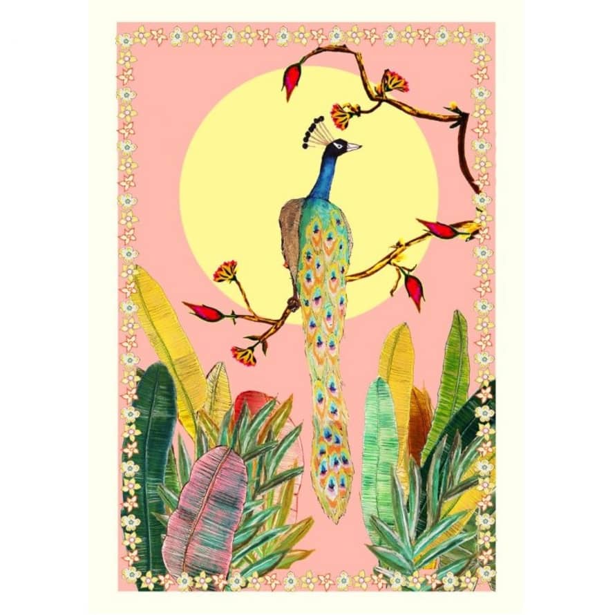 Wildflower Cards Pink Sky Peacock A3 Art Print
