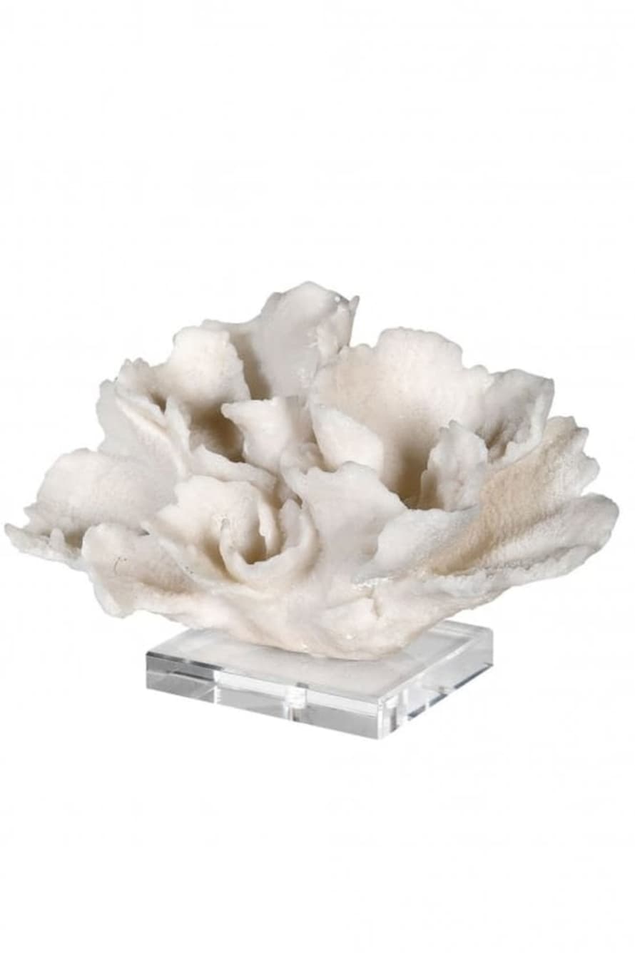 The Home Collection Small White Faux Coral On Base