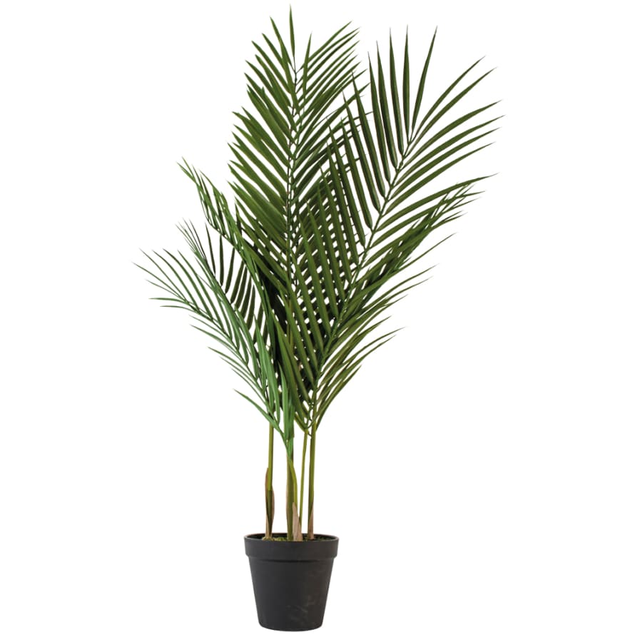 Grand Illusions Parlour Palm in Pot - Artificial Plant 