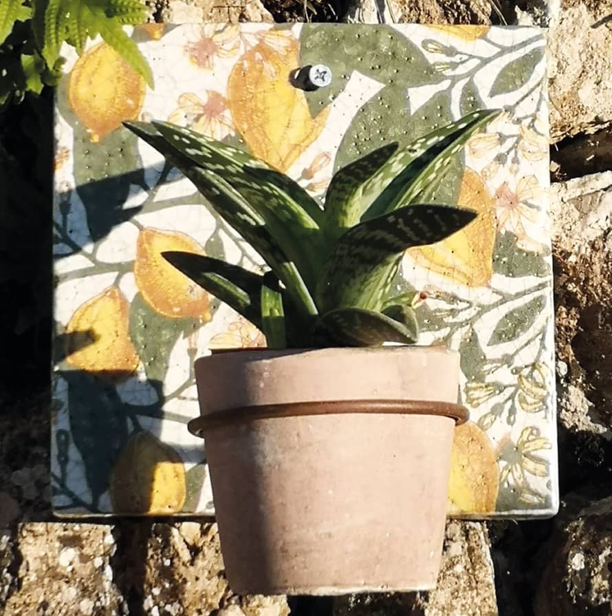 Casa Verde Spanish Lemons Wall Tile Plant Holder