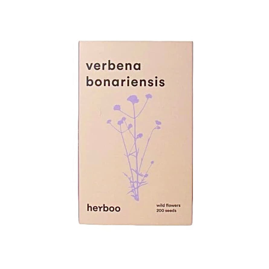 Herboo Verbena Seeds Bonariensis
